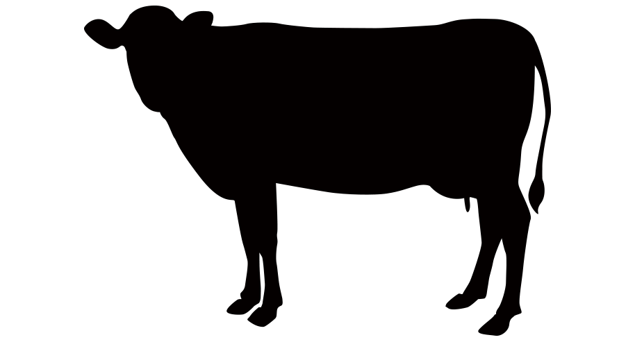 ウエーデルンのご褒美ジャーキー