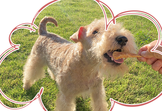 ウエーデルンのご褒美ジャーキー